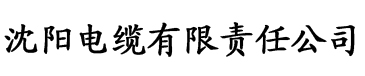 大乔抱枕电缆厂logo